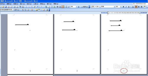 Word2007中，轻松从第3页开始添加页码 2