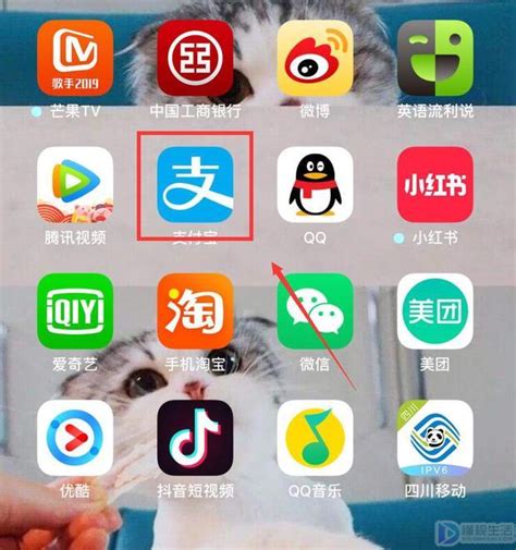 一键查询手机号所有快递物流信息 2