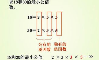 互质数：详细解析与定义 3