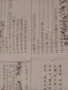 《探寻北山秘境：新城游北山记译文赏析》 3