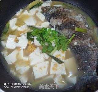 家常美味：鲫鱼炖豆腐的详细制作教程 3