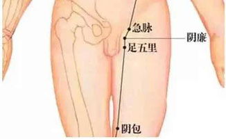 揭秘至阳穴位：精准位置图与神奇功效 2