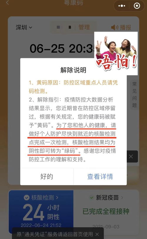 黄码申诉指南：一步步教你如何有效申诉 4