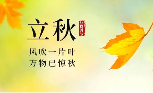 揭秘！七月四号庆祝的是哪个节日？ 3