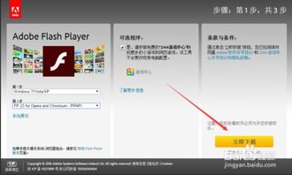 一键解锁：Adobe Flash Player详细安装指南 2