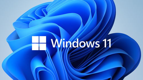 探索Windows 7控制面板：个性化你的桌面小工具 2