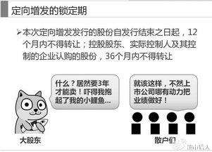 揭秘：定向增发——股市中的秘密武器 1