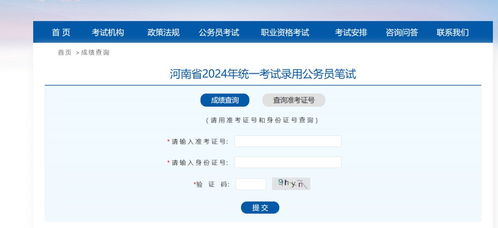 河南省考成绩查询方法是什么 1