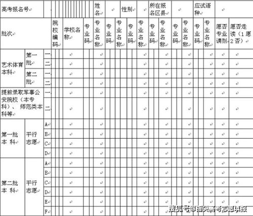 高效攻略：轻松模拟填报高考志愿表 3