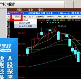 轻松学会！同花顺查看热门板块的方法 4