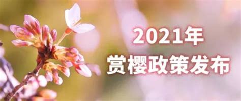 2021年武汉大学赏樱花预约攻略 2