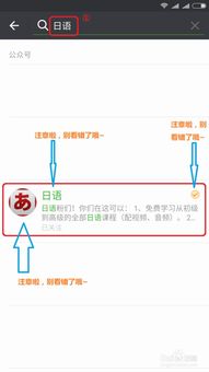 掌握寻找带双语字幕日剧的高效技巧 1