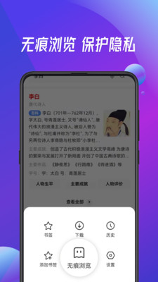 大字浏览器app