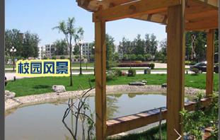 探索北京华大研修学院：多元院系风采展示 2