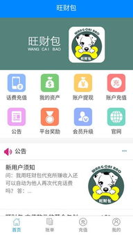 高效指南：旺财安卓版下载技巧与全面介绍 2