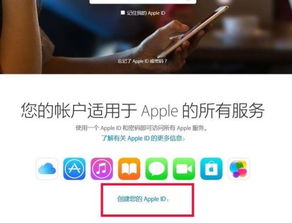 轻松掌握：创建Apple ID的详细步骤 3