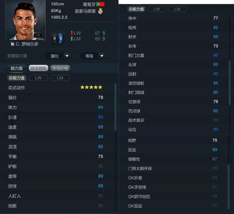 FIFA OL3新版：深度解析里尔俱乐部替补球员阵容 2