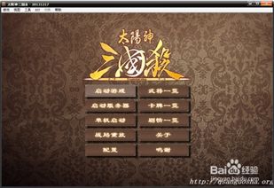 探索新奇游戏体验：初尝太阳神三国杀的精彩 4