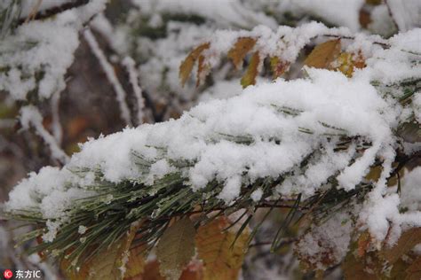 秋雪所蕴含的寓意与象征 2