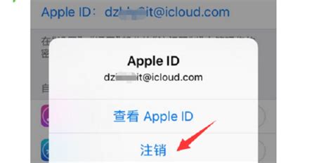 连接Apple ID服务器出错怎么办？ 5