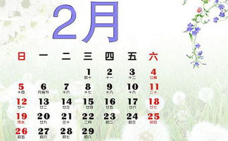 揭秘：2月份天数为何是28天或神秘的29天？ 2