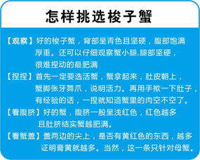 探寻：贫瘠的对立面是什么？ 2