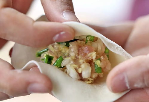 调出美味饺子的秘制馅料制作法 3