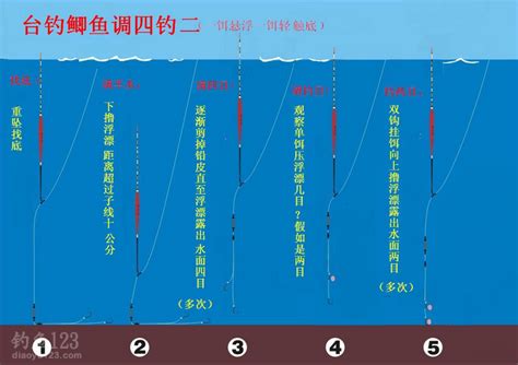 钓鱼技巧大揭秘：轻松掌握调漂精髓 2