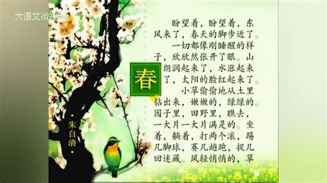 秋韵如画：秋天像丰收的画卷，秋天像温暖的夕阳，秋天像金黄的诗篇 3