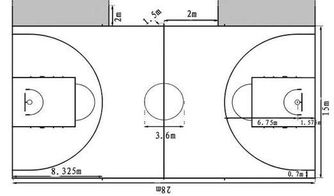 国际标准篮球场尺寸及布局示意图 4
