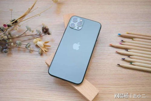 iPhone 11 的发布时间是什么时候？ 2