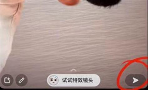 如何在Snapchat上应用漫画脸效果并轻松下载？ 5