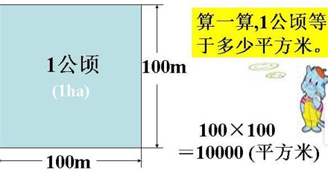 1平方公里等于多少平方千米？速查答案！ 3