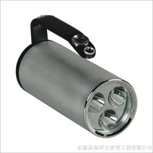海洋王RJW7102 LT 9W手提防爆探照灯 2