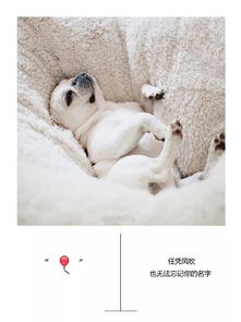 解析'隔山隔海'的含义 1