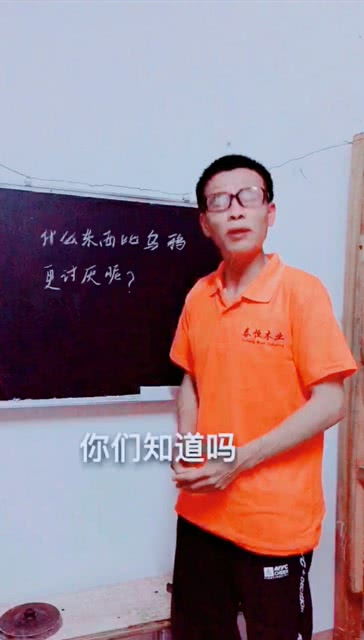 灯谜：何物较之乌鸦更令人厌烦 2