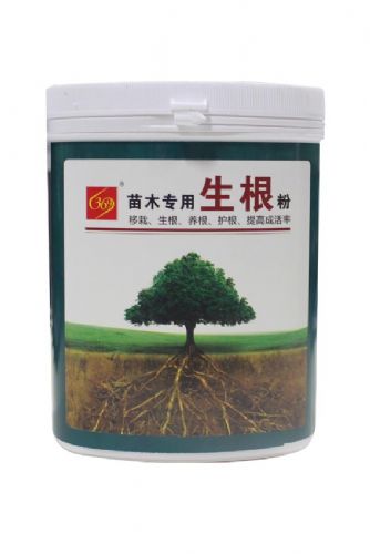 生根粉的正确使用方法大揭秘 2