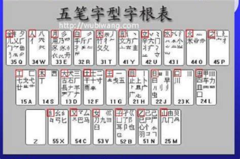 五笔打字速成秘籍：轻松掌握高效打字技巧 3