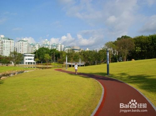 深圳一日游必去！15大免费景点精彩探索 3