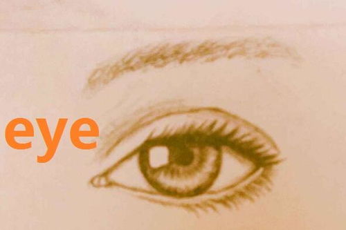 揭秘“eye”的神秘同音伙伴：你意想不到的同音词大揭秘！ 2