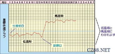 通过基础体温曲线图预测排卵日 2