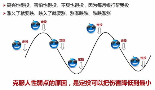 高效指南：如何开始并优化基金定投 3