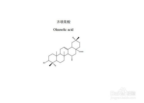 翼首草的药用功能与效益解析 3