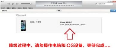 iOS10如何降级回iOS9.3.5？ 2