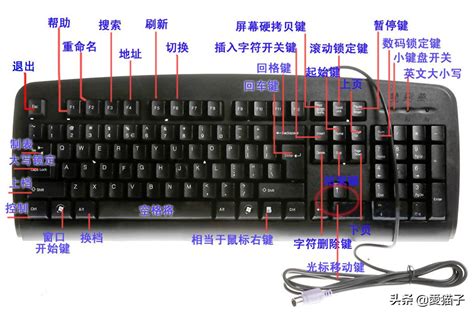 粘贴与复制的快捷键是什么 2