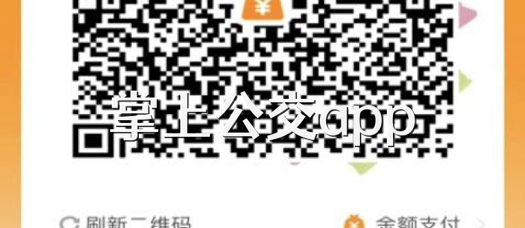 掌上公交app