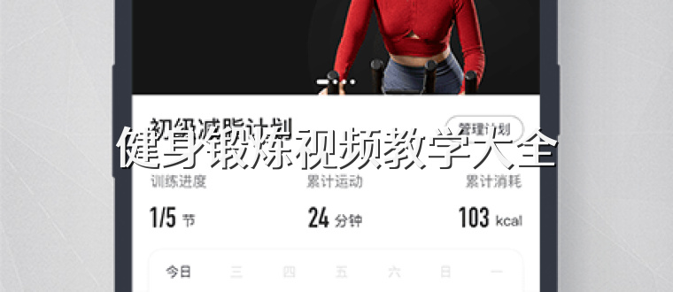 健身锻炼视频教学大全