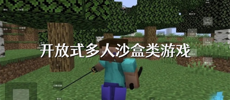 开放式多人沙盒类游戏