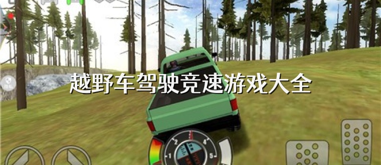 越野车驾驶竞速游戏大全