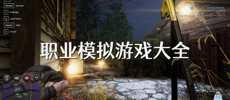 职业模拟游戏大全